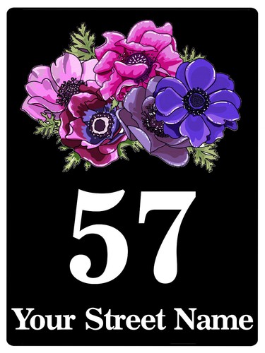 221 personalised number - 221,